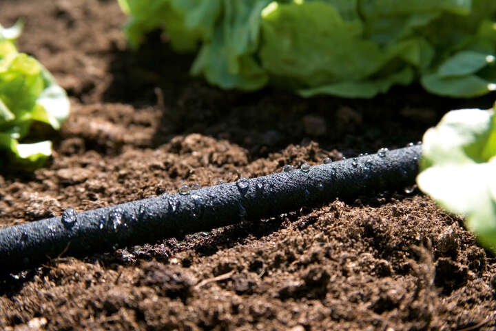 GARDENA Perl-Regner 15 m